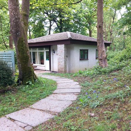 Villa Woodland Retreat Uny Lelant Esterno foto