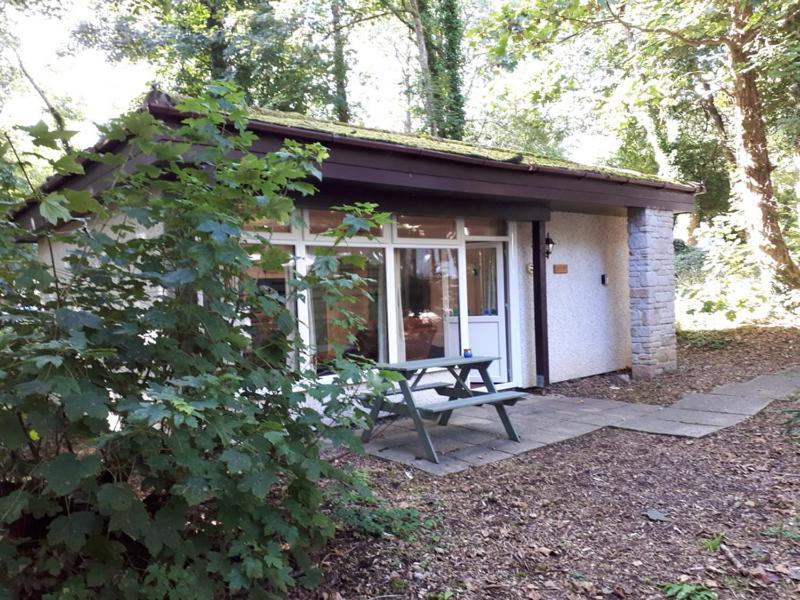 Villa Woodland Retreat Uny Lelant Esterno foto