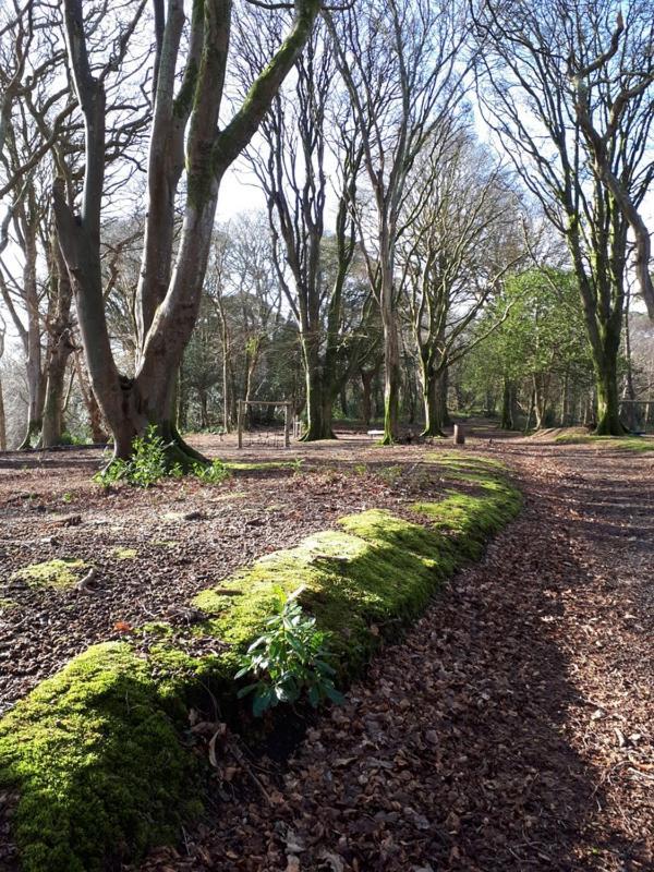 Villa Woodland Retreat Uny Lelant Esterno foto
