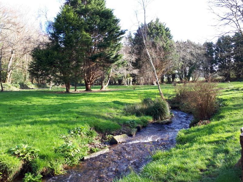 Villa Woodland Retreat Uny Lelant Esterno foto