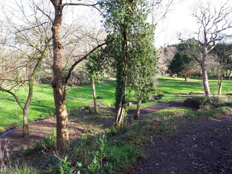 Villa Woodland Retreat Uny Lelant Esterno foto
