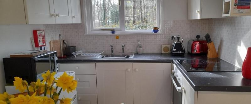 Villa Woodland Retreat Uny Lelant Esterno foto